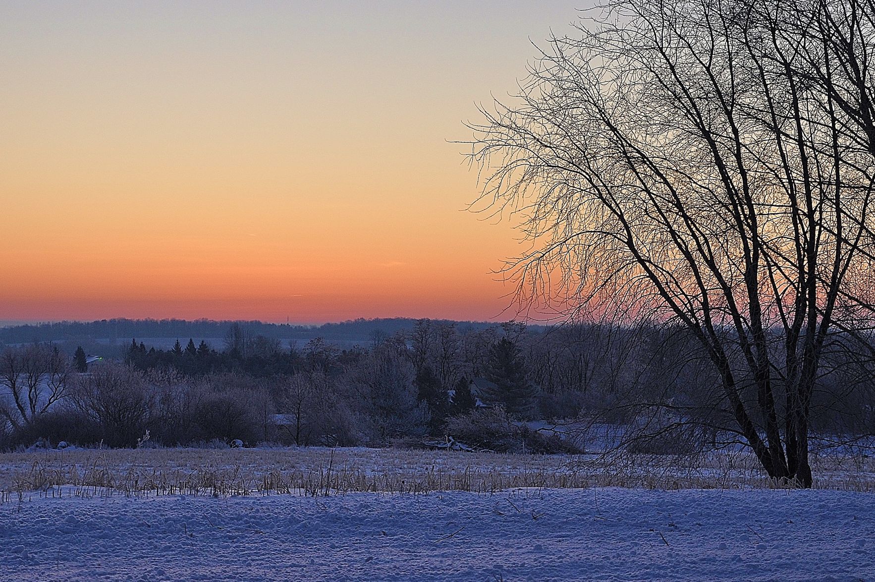 Hoarfrost sunrise